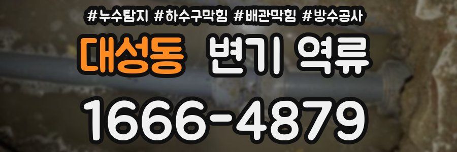 대성동 변기 역류