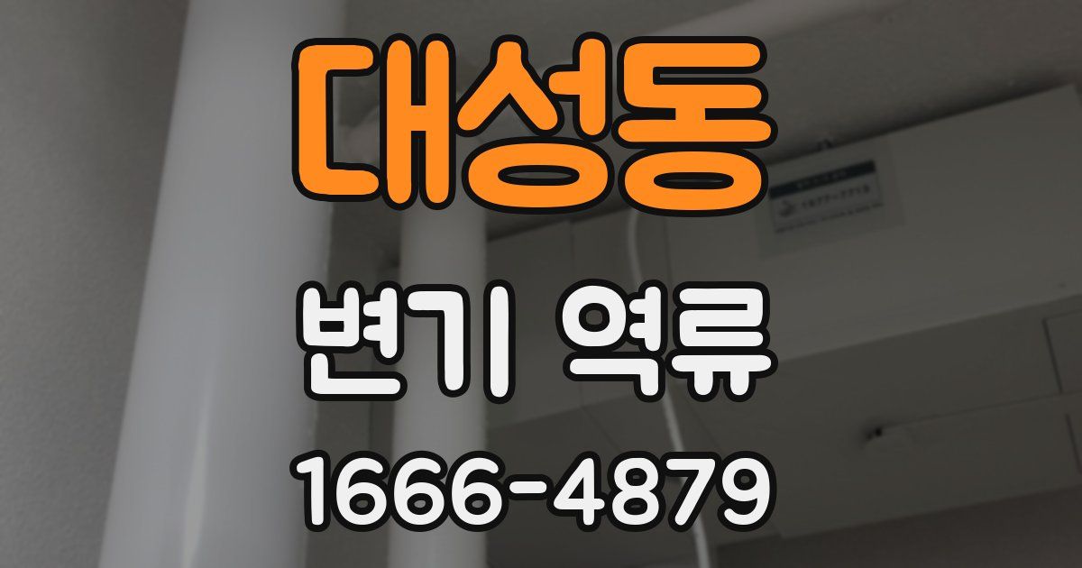 대성동 변기 역류