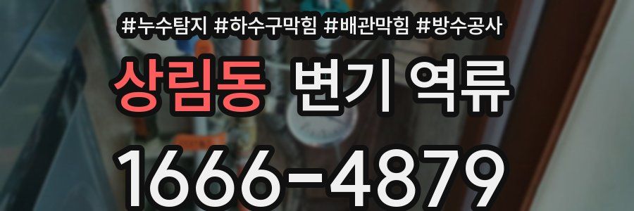 상림동 변기 역류
