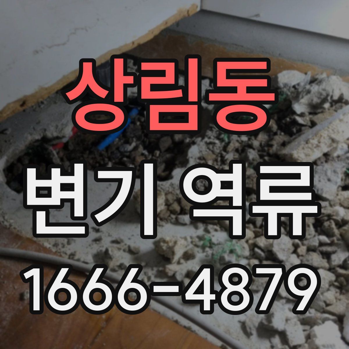 상림동 변기 역류