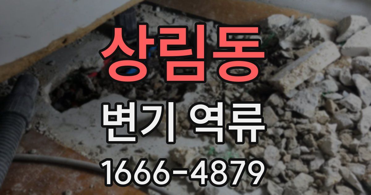 상림동 변기 역류