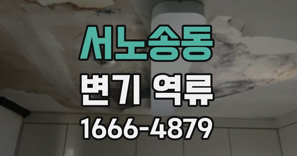 서노송동 변기 역류