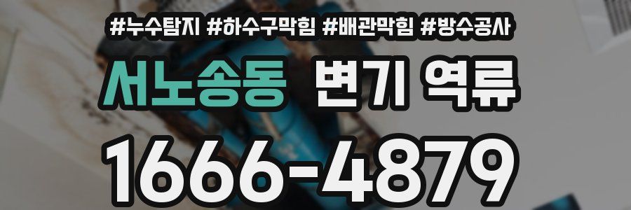 서노송동 변기 역류