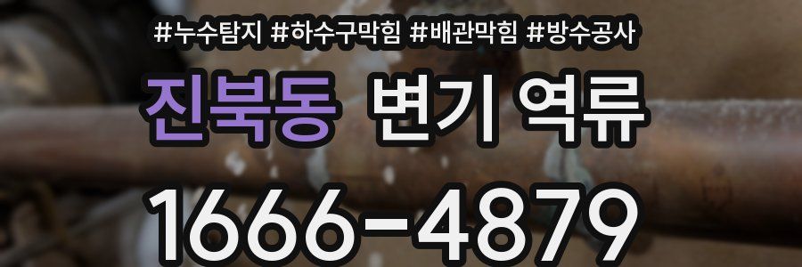 진북동 변기 역류