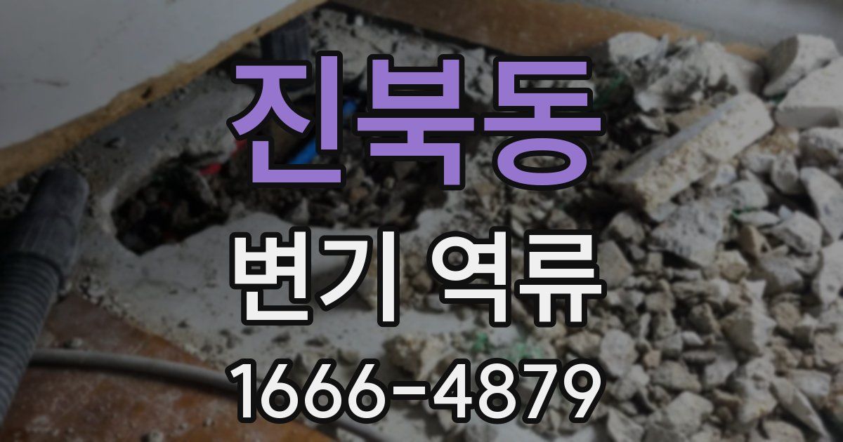 진북동 변기 역류