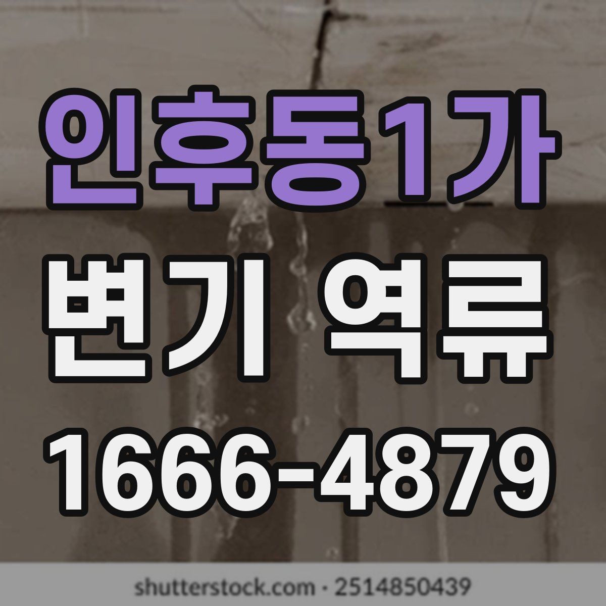 인후동1가 변기 역류 냄새 차단 장치와 관련된 점검