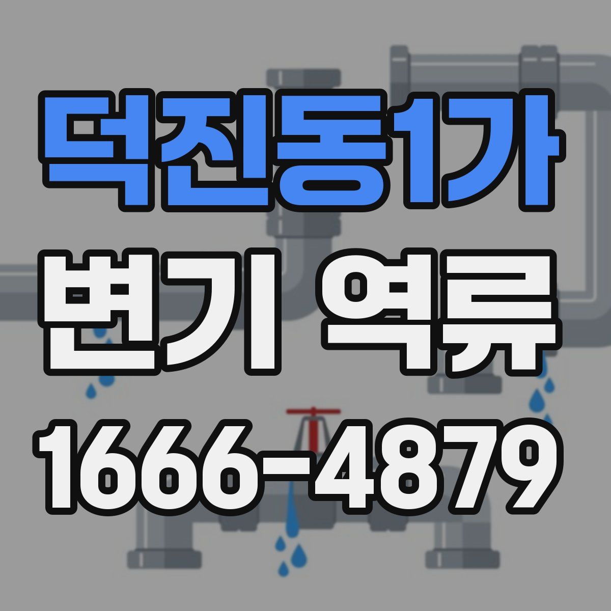 덕진동1가 변기 역류