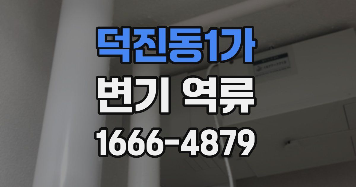 덕진동1가 변기 역류