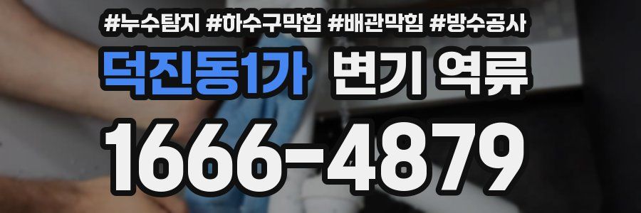 덕진동1가 변기 역류