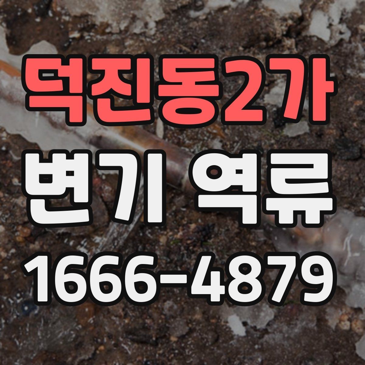 덕진동2가 변기 역류 원인을 찾는 집안 점검 순서