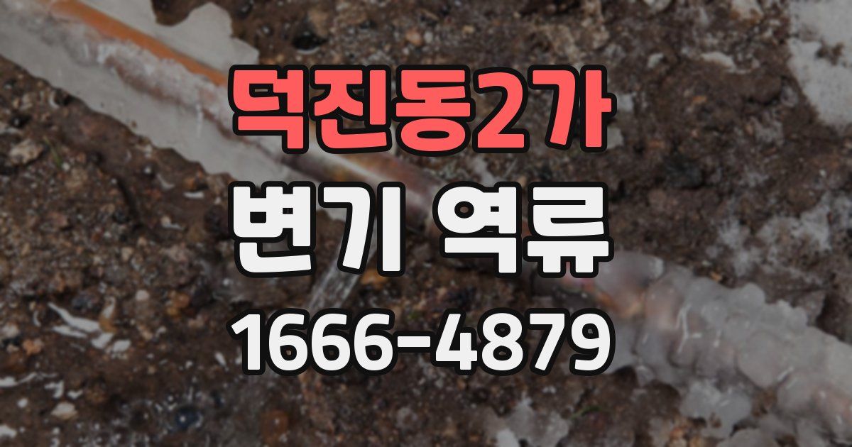 덕진동2가 변기 역류