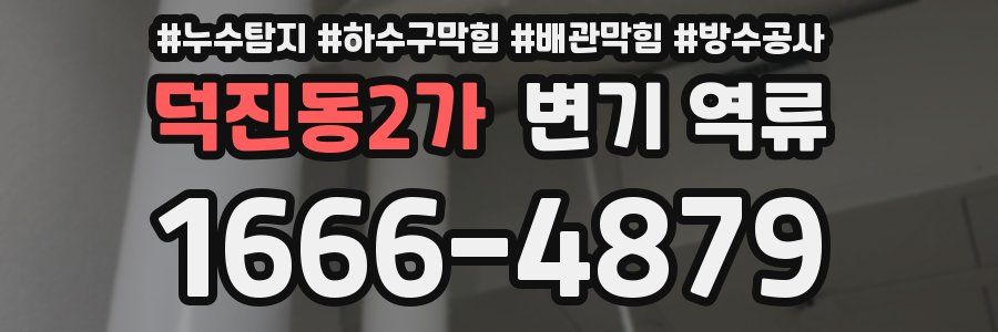 덕진동2가 변기 역류