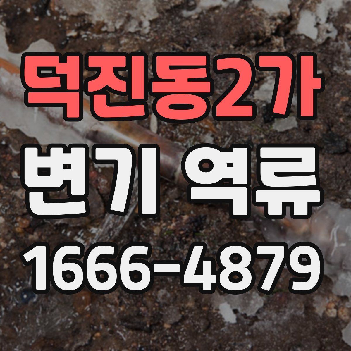 덕진동2가 변기 역류