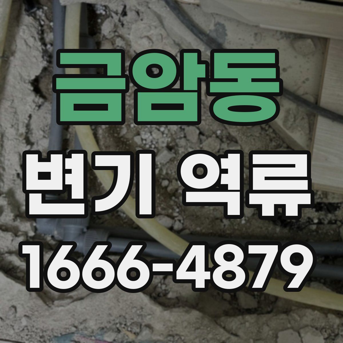 금암동 변기 역류