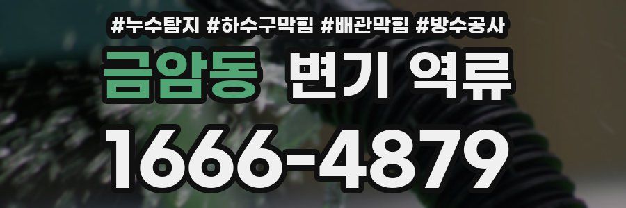 금암동 변기 역류