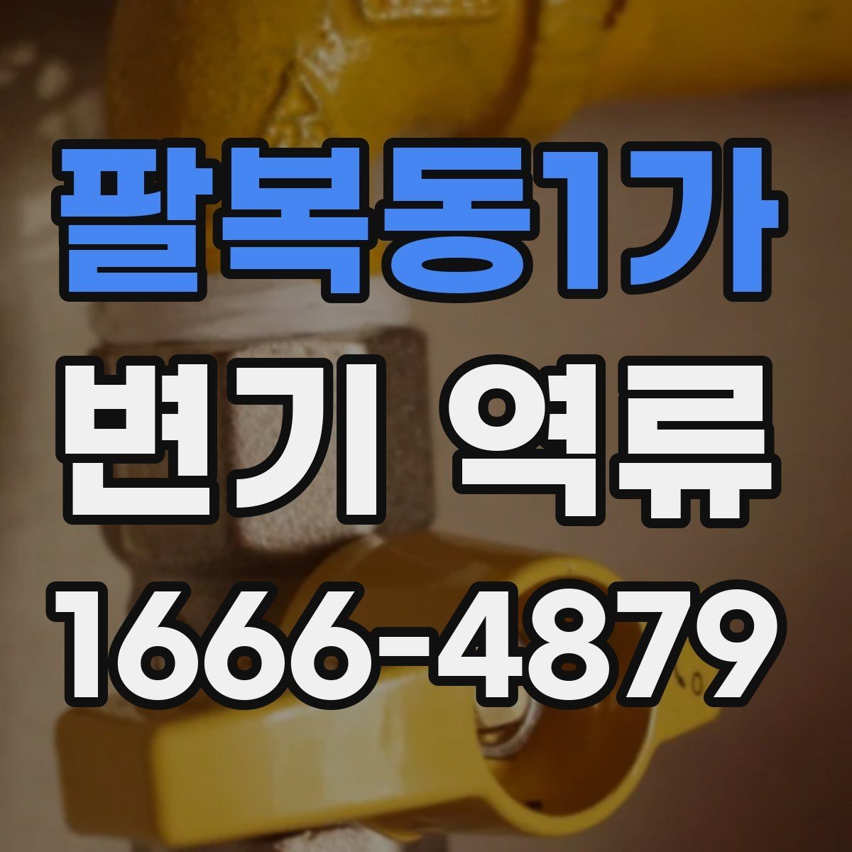 팔복동1가 변기 역류 해결 전 꼭 살펴볼 체크 항목