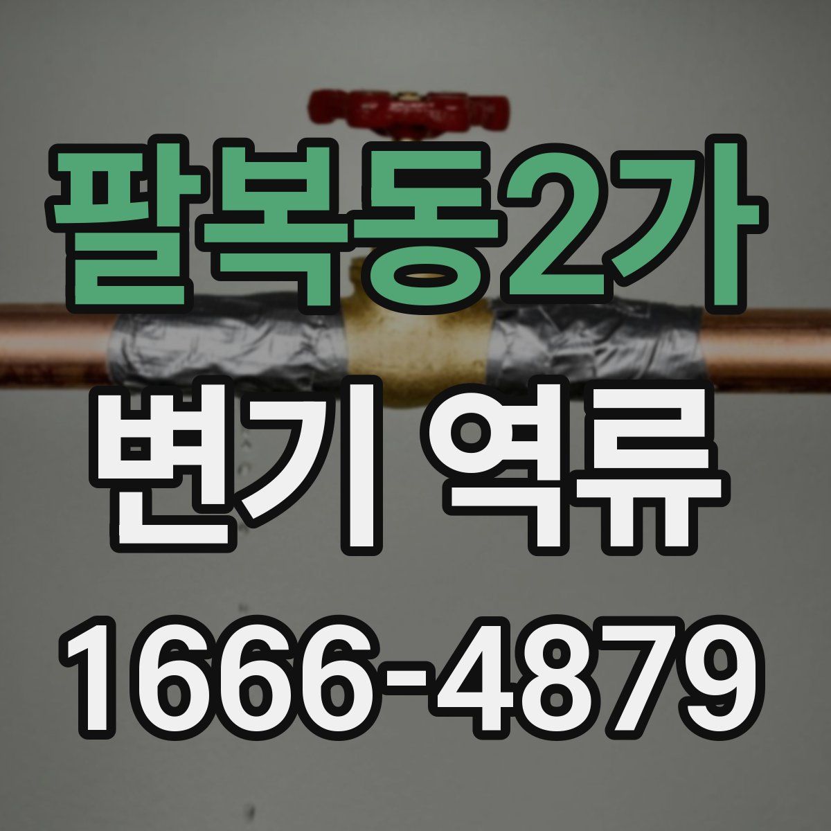 팔복동2가 변기 역류