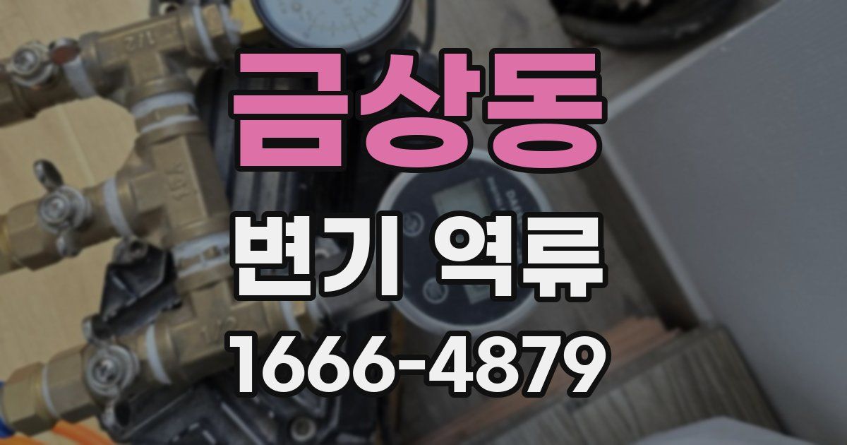 금상동 변기 역류