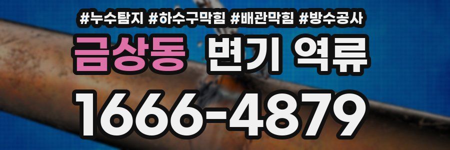 금상동 변기 역류