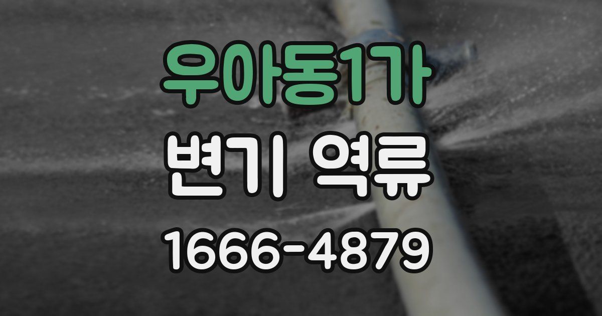 우아동1가 변기 역류