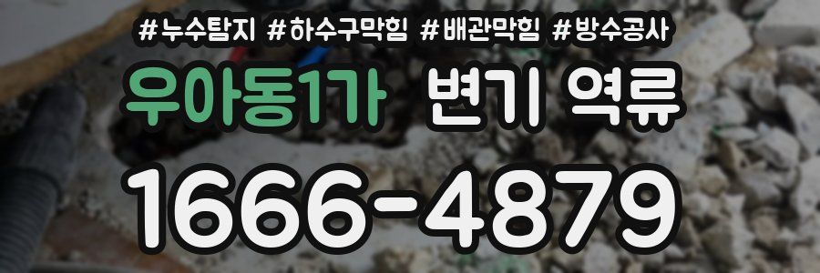 우아동1가 변기 역류