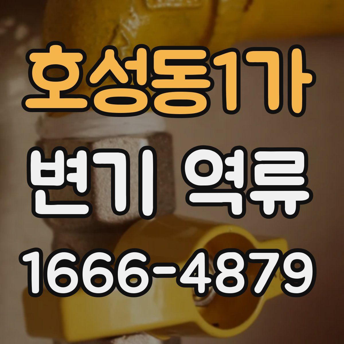 호성동1가 변기 역류