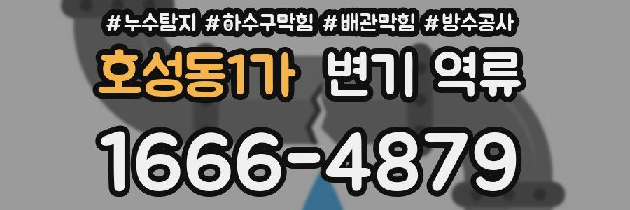 호성동1가 변기 역류