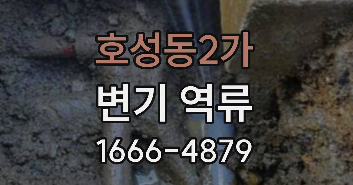 호성동2가 변기 역류