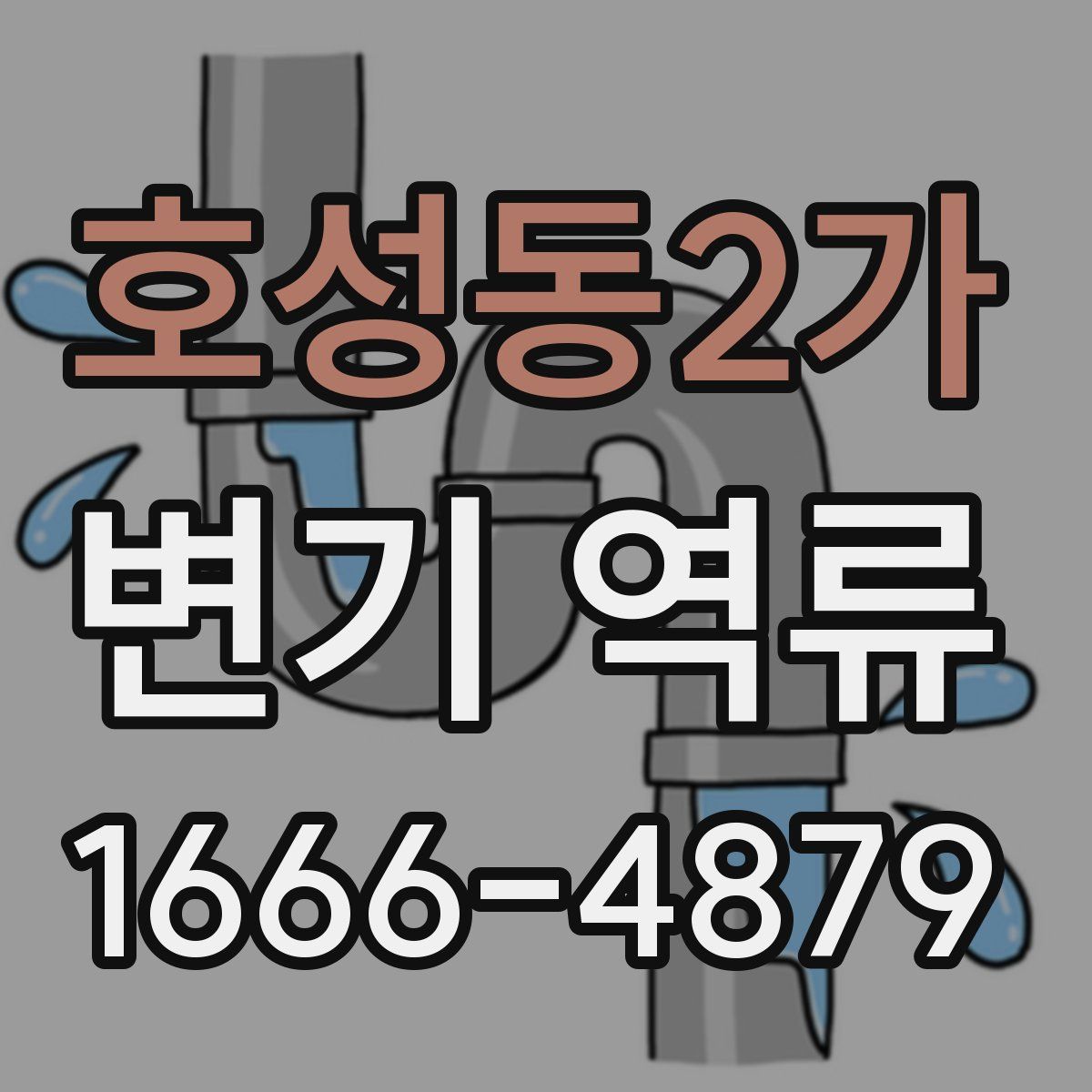호성동2가 변기 역류