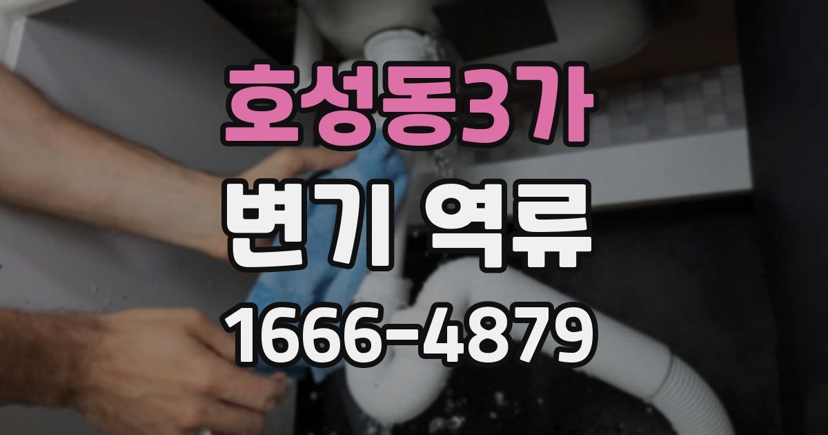 호성동3가 변기 역류