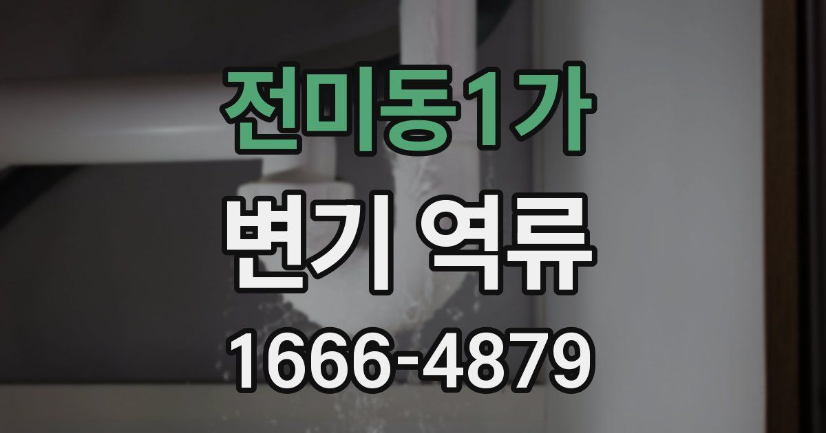 전미동1가 변기 역류