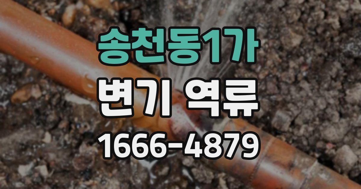 송천동1가 변기 역류