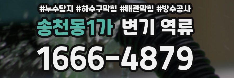송천동1가 변기 역류
