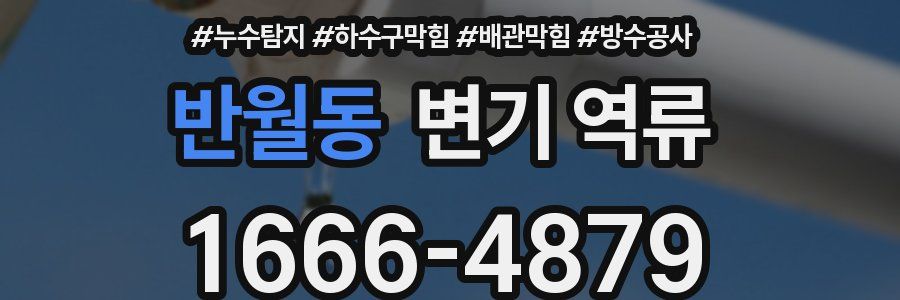 반월동 변기 역류