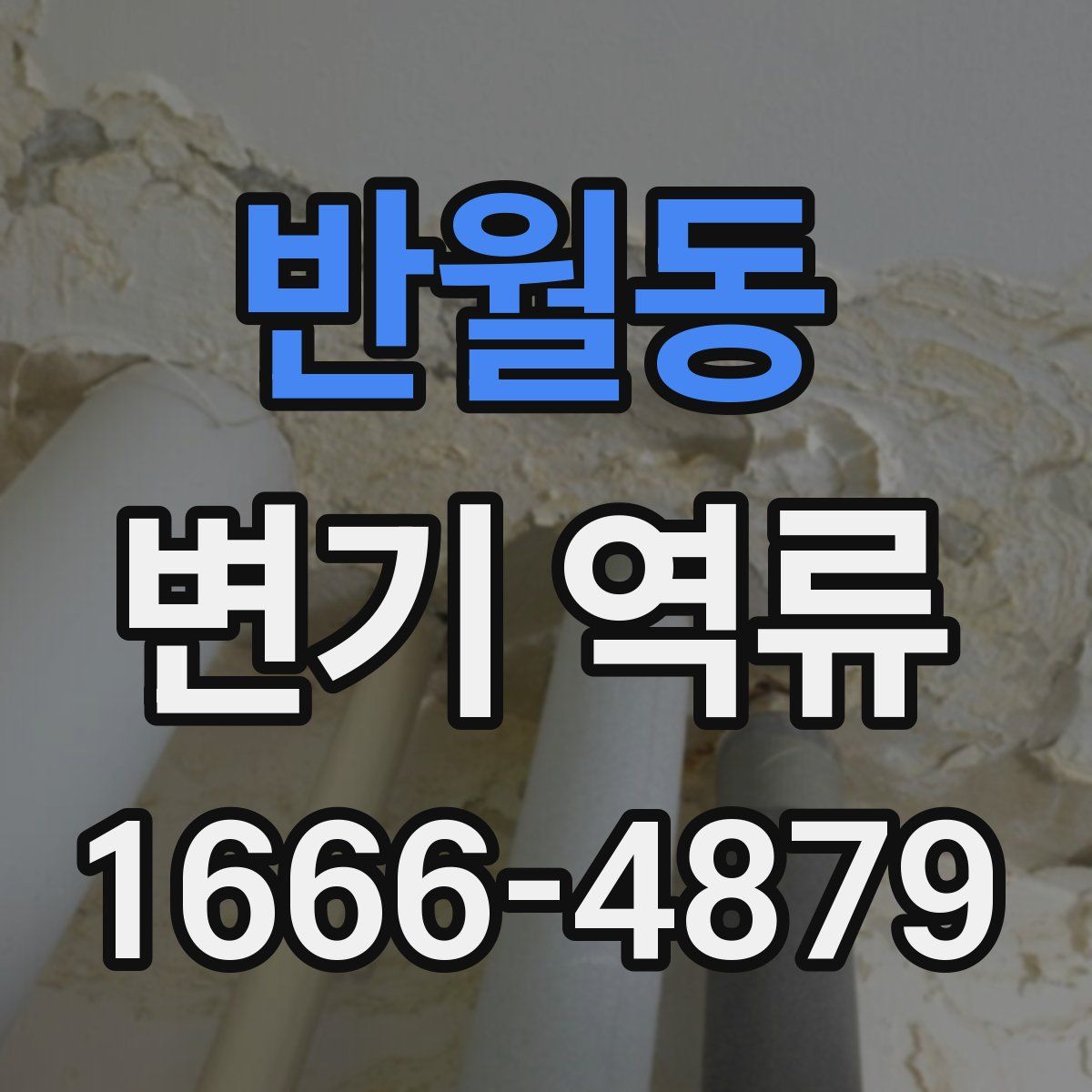 반월동 변기 역류