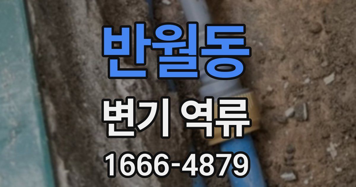 반월동 변기 역류