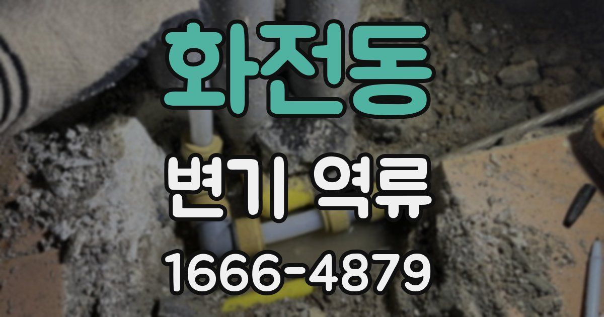 화전동 변기 역류
