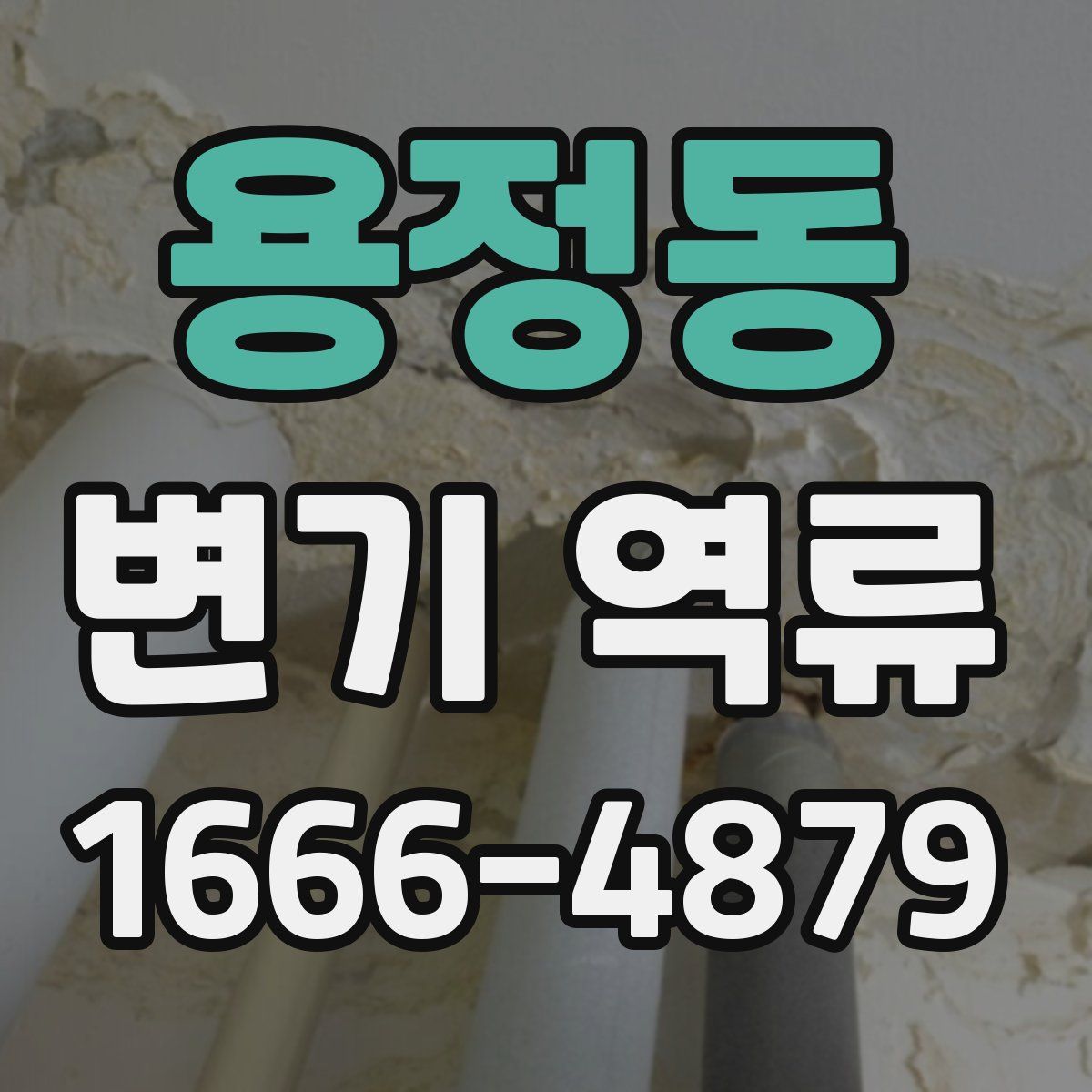 용정동 변기 역류