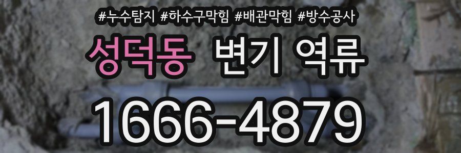 성덕동 변기 역류