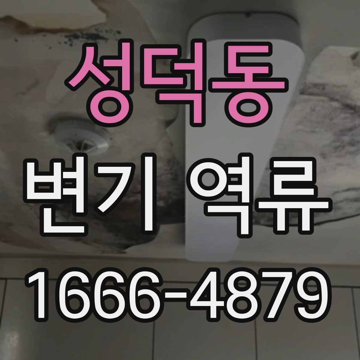 성덕동 변기 역류