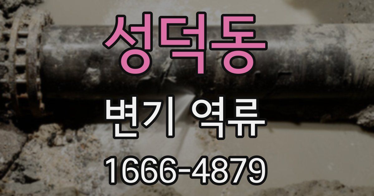 성덕동 변기 역류