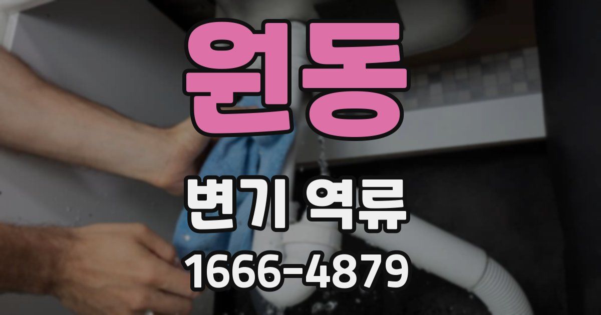 원동 변기 역류