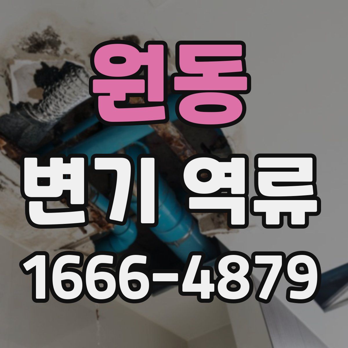 원동 변기 역류