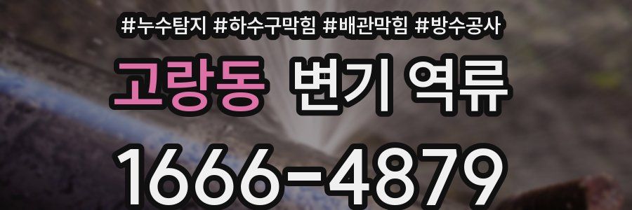 고랑동 변기 역류
