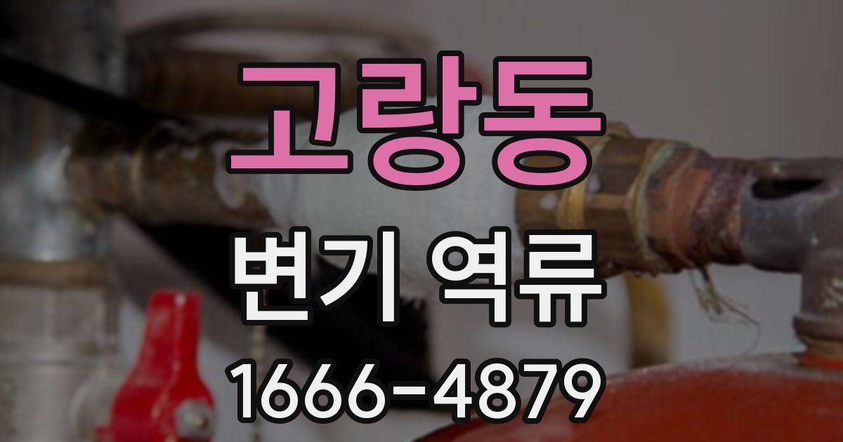 고랑동 변기 역류