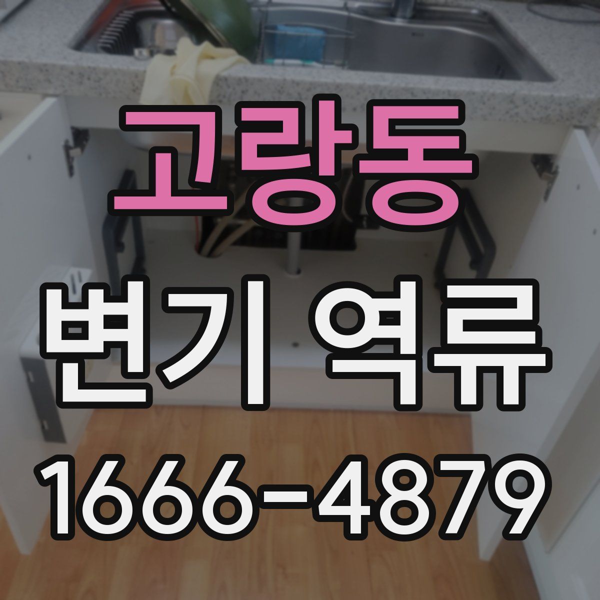 고랑동 변기 역류