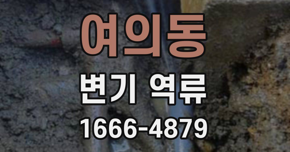 여의동 변기 역류