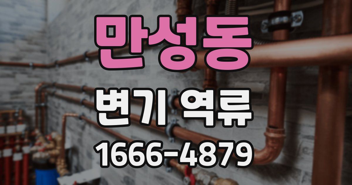 만성동 변기 역류