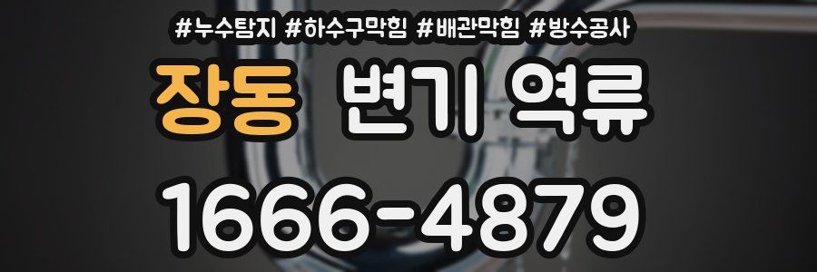 장동 변기 역류