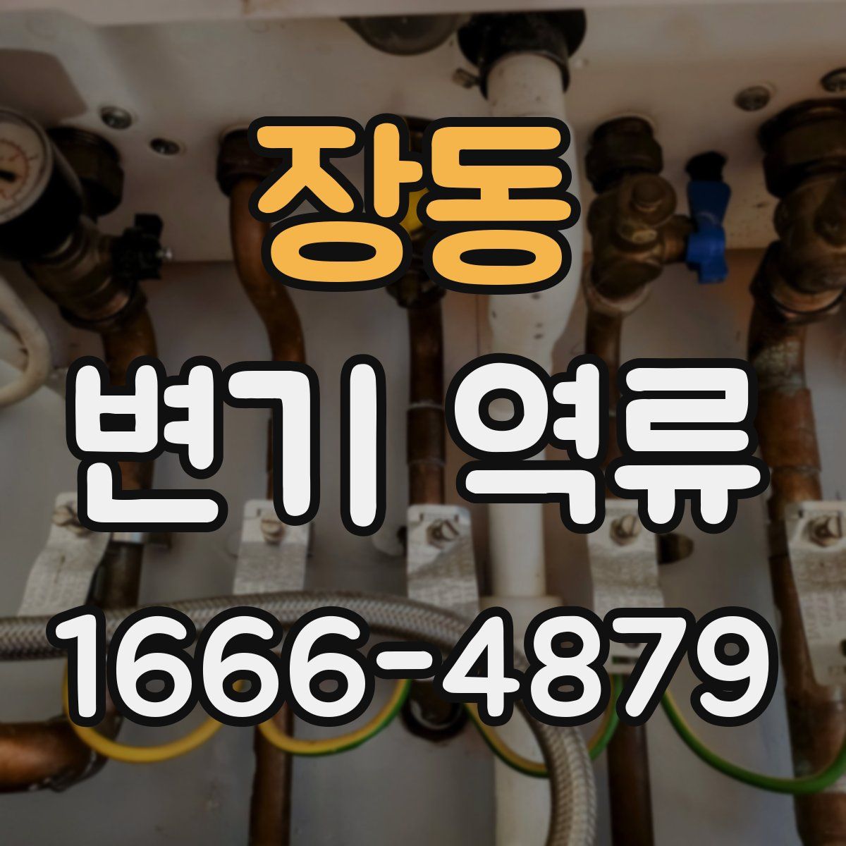 장동 변기 역류